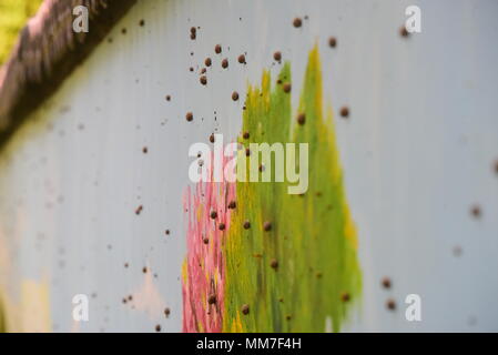 Zhengzhou, Zhengzhou, Cina. 9 maggio 2018. Zhengzhou, Cina-9Maggio 2018: lumache si radunano in tronchi di alberi sulla strada di Zhengzhou, centrale cinese della Provincia di Henan. Credito: SIPA Asia/ZUMA filo/Alamy Live News Foto Stock