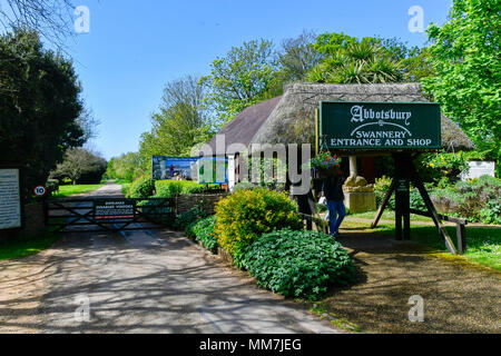 Abbotsbury Swannery, Abbotsbury, Dorset, Regno Unito. Il 10 maggio 2018. Vista dell'ingresso a Abbotsbury Swannery nel Dorset come il primo dei baby cigno cygnets avviare oggi da cova. Credito Foto: Graham Hunt/Alamy Live News Foto Stock