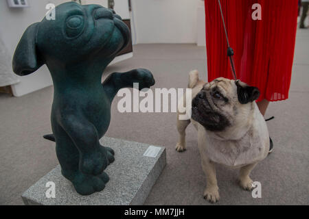 Hampstead, Londra, Regno Unito. 9 maggio 2018. Un pug si ammira la scultura da Niki Merimaa in Bruno Dahl gallery - Il conveniente Arte Fiera si apre in Hampstead e corre fino al 14 maggio. La fiera offre ai visitatori la possibilità di acquistare il lavoro da oltre 110 gallerie a prezzi tra £100, £6.000 Credito: Guy Bell/Alamy Live News Foto Stock