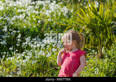 Un bambino di 3 anni ragazza in piedi in un giardino pieno di fiori selvatici. Foto Stock