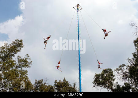 Città del Messico,Polanco,Ispanico,immigrati immigrati,Messicano,Museo Nacional de Antropologia Museo Nazionale di Antropologia,indigeni Totonac voladores Foto Stock