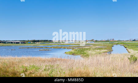 Skyline Den Hoorn Texel nei Paesi Bassi Foto Stock