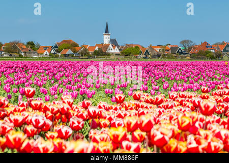 Skyline Den Hoorn Texel nei Paesi Bassi Foto Stock