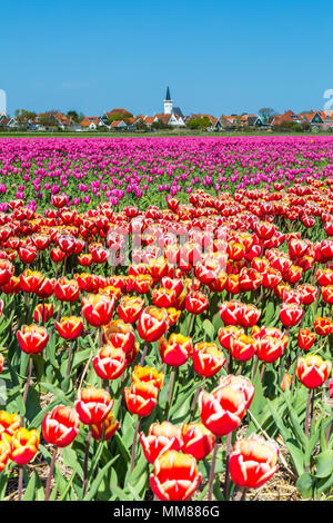 Skyline Den Hoorn Texel nei Paesi Bassi Foto Stock