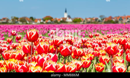 Skyline Den Hoorn Texel nei Paesi Bassi Foto Stock