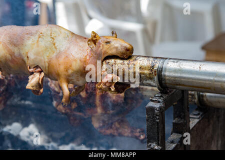 Ecuadoriano cuy (cavia) essendo arrostito allo spiedo Foto Stock