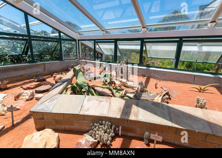 Una serra presso i Giardini Botanici di Kirstenbosch a Cape Town, Sud Africa Foto Stock