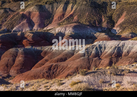 Verniciato colorato dei paesaggi del deserto visto dal lungo la strada del parco nella sezione di nel Parco Nazionale della Foresta Pietrificata a nord della Interstatale 40, Arizona Foto Stock