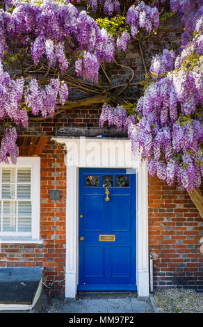 Il glicine viola in fiore intorno a un cottage porta con una porta blu nella nuova Alresford, una piccola città o villaggio in Hampshire, Inghilterra meridionale, Regno Unito Foto Stock