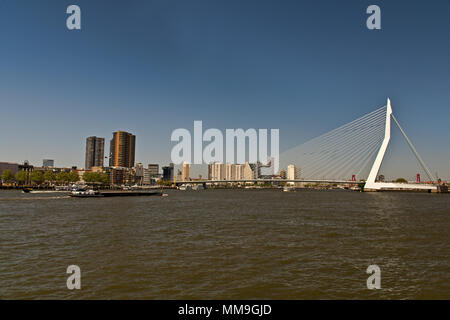 Erasmusbridge a Rotterdam, Paesi Bassi Foto Stock