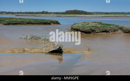 Attraverso paludi Iken e river Alde, Suffolk, Inghilterra Foto Stock