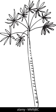 Disegnate a mano modello senza cuciture con palme, isolato su sfondo bianco Illustrazione Vettoriale