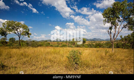 Splendide panoramiche colorato paesaggio australiano con campi di golden erbe, alberi verdi e le gamme sull orizzonte sotto il cielo blu nel Queensland Foto Stock