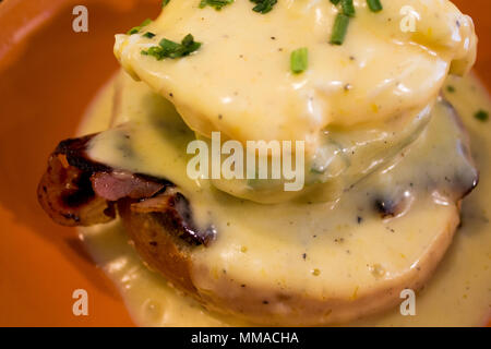 Delizioso Cibo beagle con crema di formaggio Foto Stock