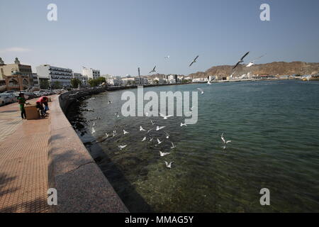 Porto Sultan Qaboos - Al Lawati Moschea - Muscat - Sultanato di Oman Foto Stock