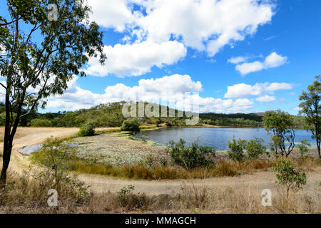 Pittoresche zone umide con ninfee presso Palmer River Goldfield, estremo Nord Queensland, FNQ, QLD, Australia Foto Stock