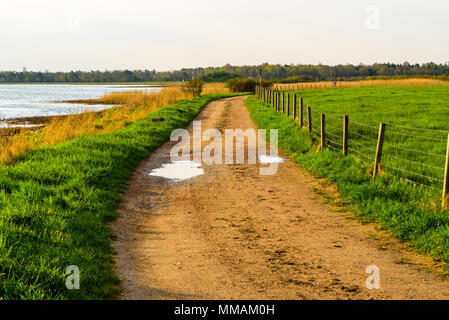 Skanor, Svezia - Paese strada tra il mare e un campo verde su una mattina dopo una notte piovosa. Foto Stock