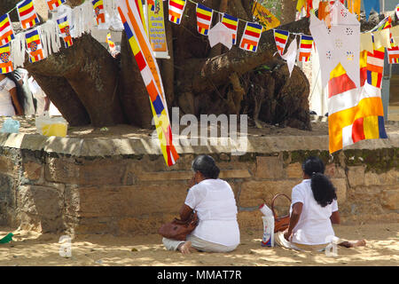 Pregando la gente vicino a una sacra buddista albero in Anuradhapura, Sri Lanka Foto Stock