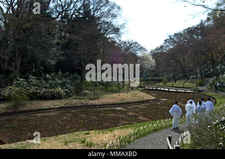 Giardini presso il Tempio di Meiji giardino interno, Shibuya, Tokyo, Giappone Foto Stock