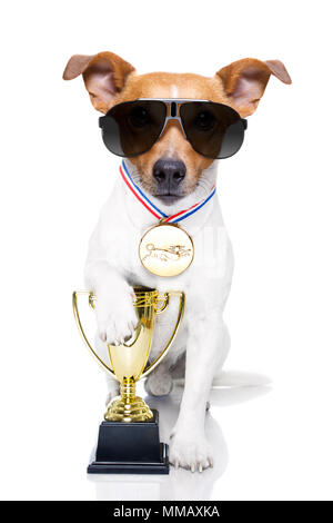 Jack Russell cane con un golden vincitore trofeo azienda con zampa, isolati su sfondo bianco, indossando occhiali da sole Foto Stock