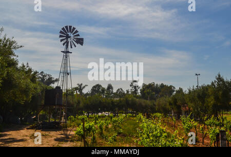 Rancho Bernardo in California - la più antica cantina di lavoro. Vintage scene arrugginita farm equipment per mulini a vento pigramente di filatura nella brezza. Fiori Foto Stock