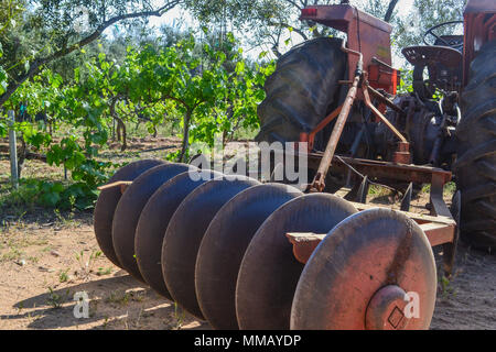 Rancho Bernardo in California - la più antica cantina di lavoro. Vintage scene arrugginita farm equipment per mulini a vento pigramente di filatura nella brezza. Fiori Foto Stock