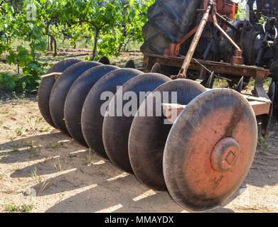 Rancho Bernardo in California - la più antica cantina di lavoro. Vintage scene arrugginita farm equipment per mulini a vento pigramente di filatura nella brezza. Fiori Foto Stock