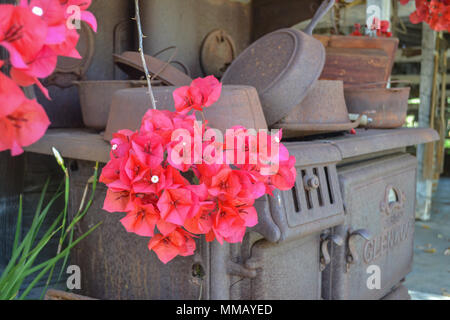 Rancho Bernardo in California - la più antica cantina di lavoro. Vintage scene arrugginita farm equipment per mulini a vento pigramente di filatura nella brezza. Fiori Foto Stock