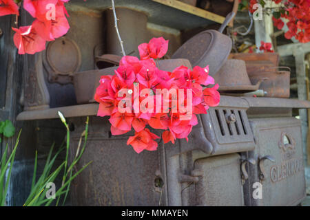 Rancho Bernardo in California - la più antica cantina di lavoro. Vintage scene arrugginita farm equipment per mulini a vento pigramente di filatura nella brezza. Fiori Foto Stock