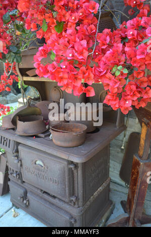 Rancho Bernardo in California - la più antica cantina di lavoro. Vintage scene arrugginita farm equipment per mulini a vento pigramente di filatura nella brezza. Fiori Foto Stock