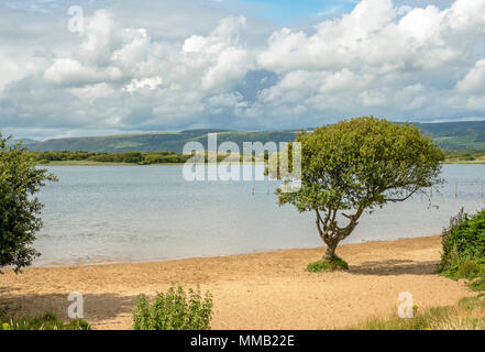 Piscina Kenfig Riserva Naturale, Kenfig, Galles del Sud Foto Stock