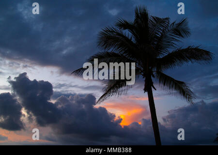 Tramonto in Maria la Gorda, Cuba Foto Stock