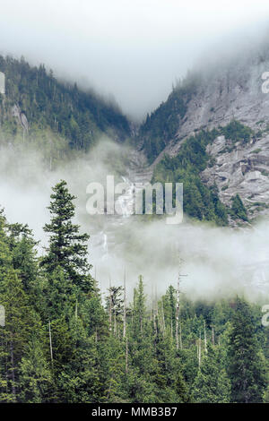 Una serie di cascate cade giù tra due ripide montagne che sono parzialmente oscurata dalla nube, in British Columbia recare grande foresta pluviale. Foto Stock