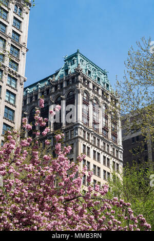 Architettura su Fifth Avenue è visto attraverso il Madison Square Park primavera alberi, NYC, STATI UNITI D'AMERICA Foto Stock