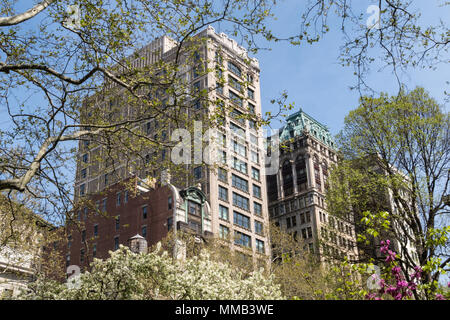 Architettura su Fifth Avenue è visto attraverso il Madison Square Park primavera alberi, NYC, STATI UNITI D'AMERICA Foto Stock