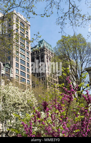 Architettura su Fifth Avenue è visto attraverso il Madison Square Park primavera alberi, NYC, STATI UNITI D'AMERICA Foto Stock