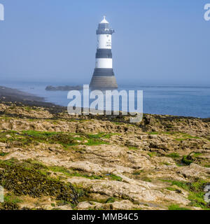 Penmon faro nella nebbia e nebbia, Anglesey, Galles Northw UK. Foto Stock