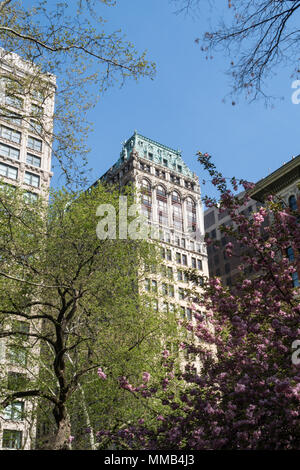 Architettura su Fifth Avenue è visto attraverso il Madison Square Park primavera alberi, NYC, STATI UNITI D'AMERICA Foto Stock