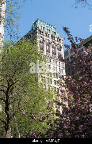 Architettura su Fifth Avenue è visto attraverso il Madison Square Park primavera alberi, NYC, STATI UNITI D'AMERICA Foto Stock