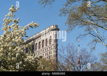 In primavera gli alberi in fiore in Madison Square Park migliorare lo storico Flatiron Building di New York City, Stati Uniti d'America Foto Stock