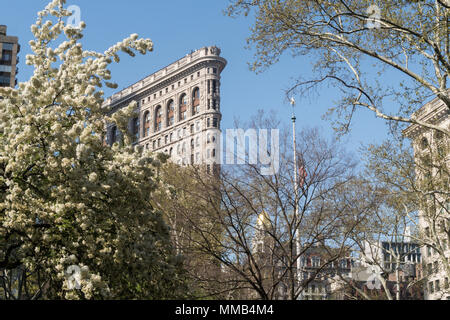 In primavera gli alberi in fiore in Madison Square Park migliorare lo storico Flatiron Building di New York City, Stati Uniti d'America Foto Stock