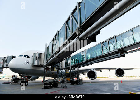 Jetty, passerella, passo, Bridge, ingresso, uscita, 380-800, A380, Lufthansa, aeromobili, aereo, aereo, aeroporto di Monaco di Baviera, MUC, Germania, Foto Stock