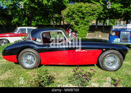 Austin Healey 1960 Foto Stock
