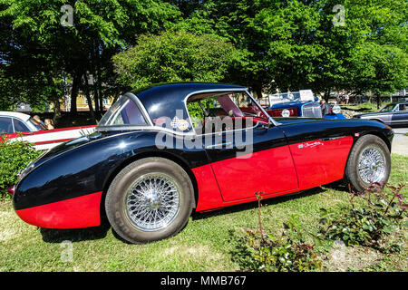 Austin Healey 1960 Foto Stock