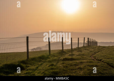 La mattina presto sulla South Downs modo sopra Steyning ciotola, West Sussex, Regno Unito. Foto Stock