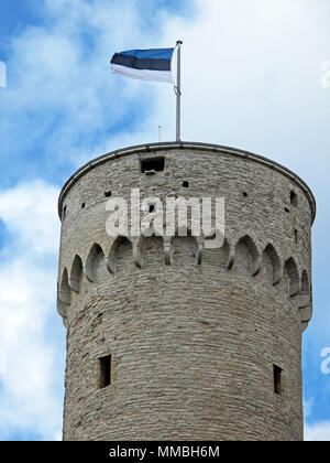 Bandiera estone sulla torre di Hermann nella Città Vecchia di Tallinn, Estonia Foto Stock