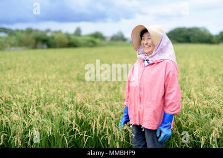 Donna sorridente indossando cappello di paglia e la camicia rosa e blu guanti di gomma in piedi in un campo di riso. Foto Stock