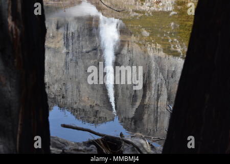 Una piena Yosemite Falls capovolto, riflesso nel fiume Merced in aprile, 2018. Foto Stock