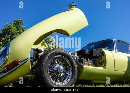 Cofano per auto rialzato Jaguar e tipo 1967 Foto Stock