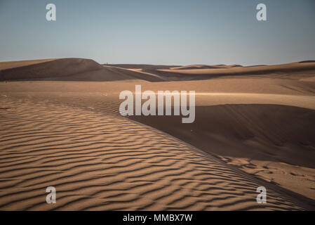 Safari nel Deserto Dubai Foto Stock